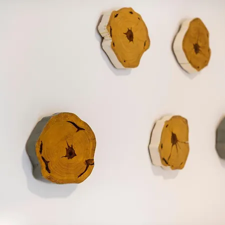 Hotel de apartamente Lefka & 2*